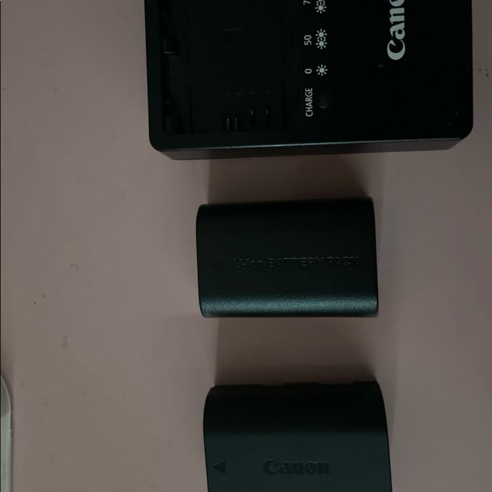 Canon Model 80D - Picture 3 of 6